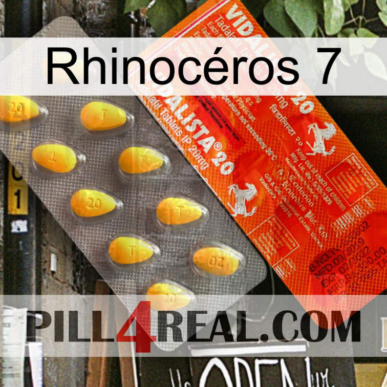 Rhinocéros 7 new01